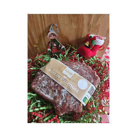 Insolite noix de saint jacques